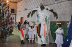 Гу&shy;бер&shy;на&shy;тор&shy;ские ел&shy;ки
