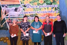 День сель&shy;хоз&shy;ра&shy;бот&shy;ни&shy;ка 2019
