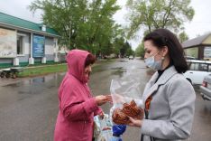 Ге&shy;ор&shy;ги&shy;ев&shy;ская лен&shy;точ&shy;ка