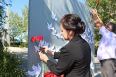 Го&shy;лубь ми&shy;ра