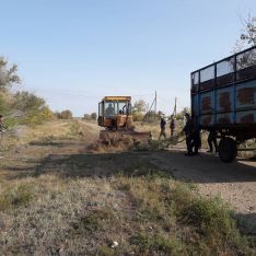 Суб&shy;бот&shy;ник в Цве&shy;то&shy;по&shy;ле