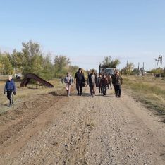 Суб&shy;бот&shy;ник в Цве&shy;то&shy;по&shy;ле