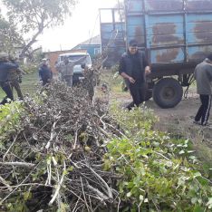 Суб&shy;бот&shy;ник в Цве&shy;то&shy;по&shy;ле