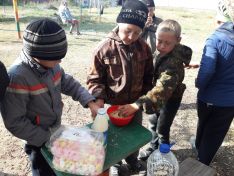 Суб&shy;бот&shy;ник в Цве&shy;то&shy;по&shy;ле