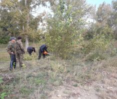 Суб&shy;бот&shy;ник в Цве&shy;то&shy;по&shy;ле